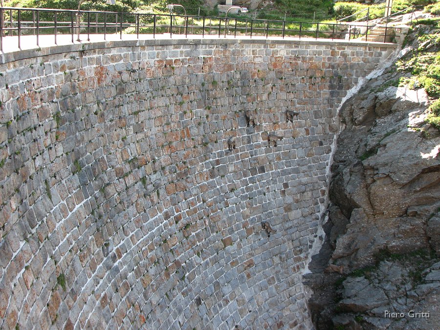 Masoni 003.jpg - La diga del Lago del Diavolo...palestra d'arrampicata per gli stambecchi
